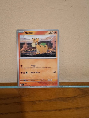 Pokemon Card Numel new