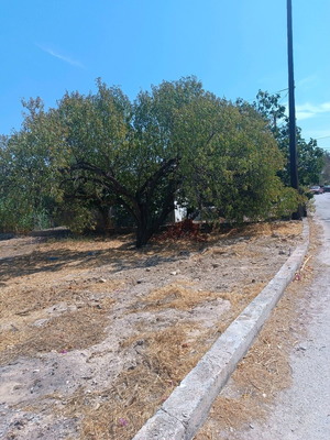 Seaside plot 536 m² in Komi Chios, buildable, corner