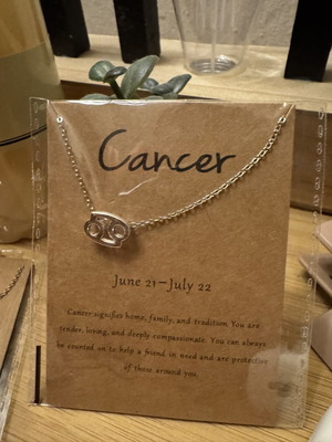 Cancer silver zodiac necklace