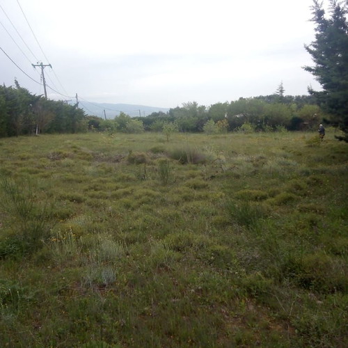Agricultural land 3 acres in Varnavas, corner plot, residential area
