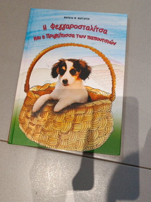The Feggarostalitsa and the Princess of the Shoes children's story like new