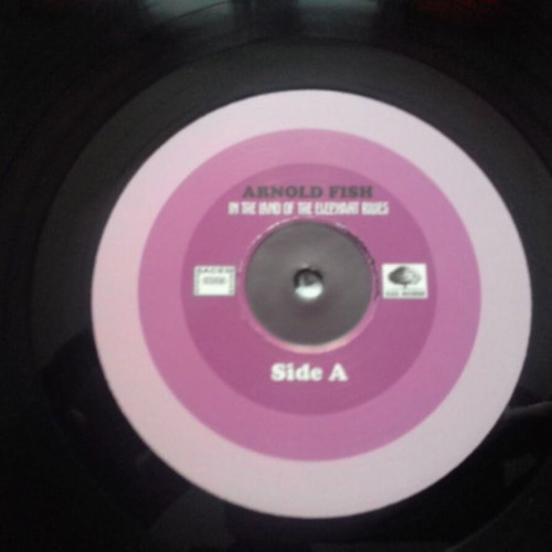 Arnold Fish In The Land Of The Elephant Blues new vinyl record 2015