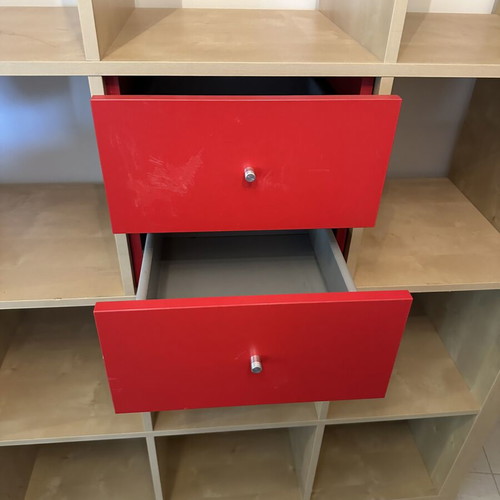 Kallax insert with 2 drawers, Ikea