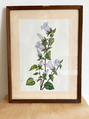 Vintage floral framed art print used, 44x34 cm
