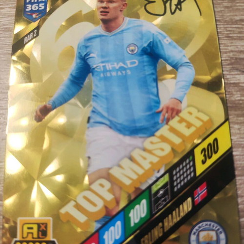 Panini football card collectible new