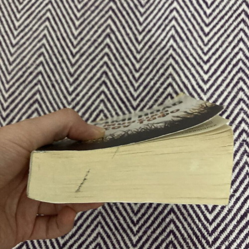 Secrets in the Grave book used