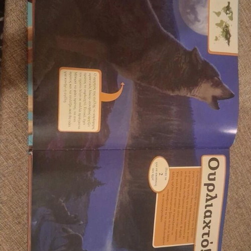 Wild Animals Psychogios book used, sound not working