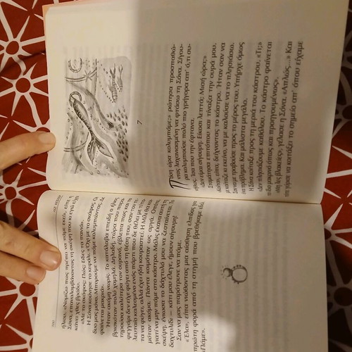 Emily and the Castle in the Mist book new