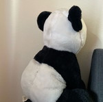Plush panda used, 30cm