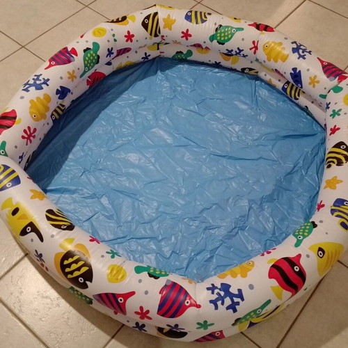 Inflatable children's pool with fish design used