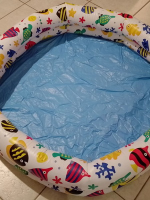 Inflatable children's pool with fish design used