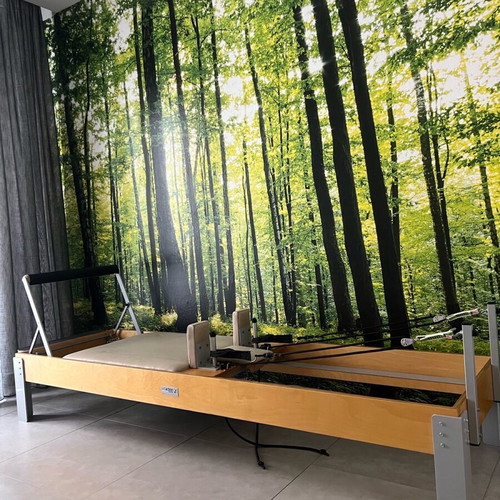 Pilates Reformer bed used with 5 resistances Artaction