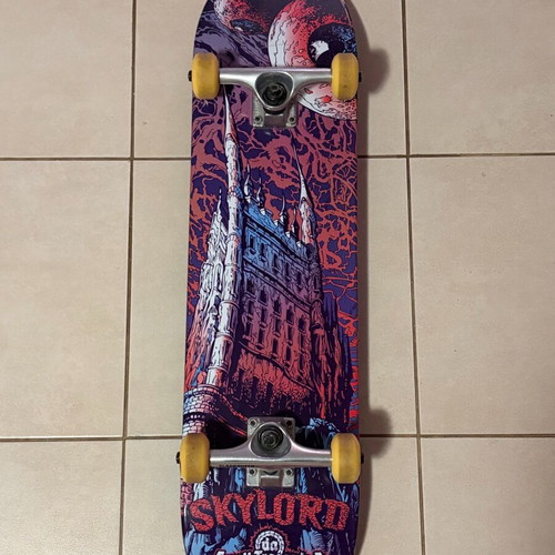 Skylord skateboard used