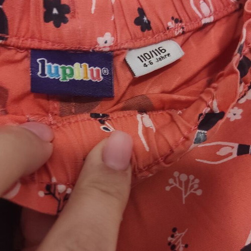 Lupilu shorts like new, multicolored, for ages 5-6