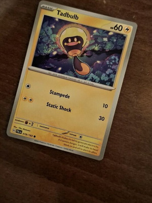 Pokemon Card Tadbulb new