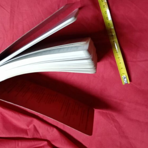 Disaster Response Guide like new American book