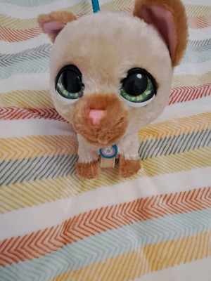 FurReal Friends Has Hasbro Cat used with sound