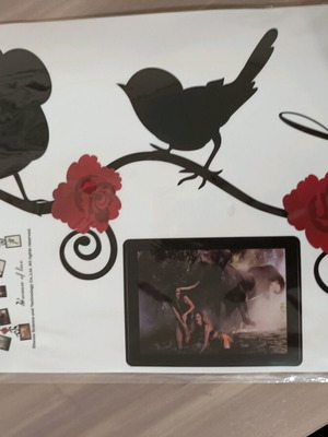 Διακοσμητικό αυτοκόλλητο τοίχου με τριαντάφυλλα, πουλιά και κορνίζες καινούργιο