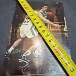 Basketball card Karvounis used, 10×15 cm, collectible