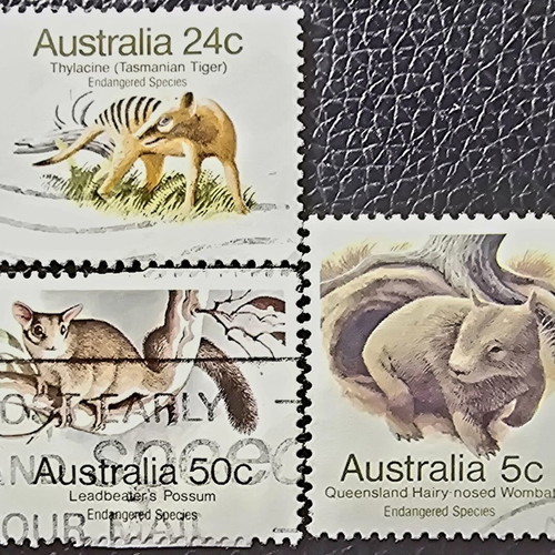 Australia 1981 stamps used, set of 3