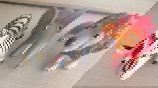 Ζώα της ζούγκλας