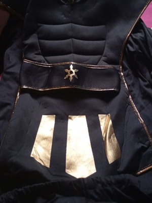 Carnival costume size 12 like new for 10 years old