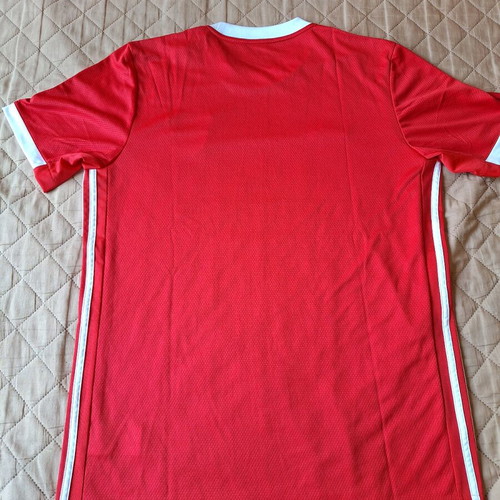 Benfica adidas Home Shirt 2019-20 like new, size L