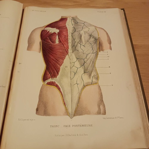 Atlas manuel d anatomie by Édouard Cuyer used, 1895 medical art book