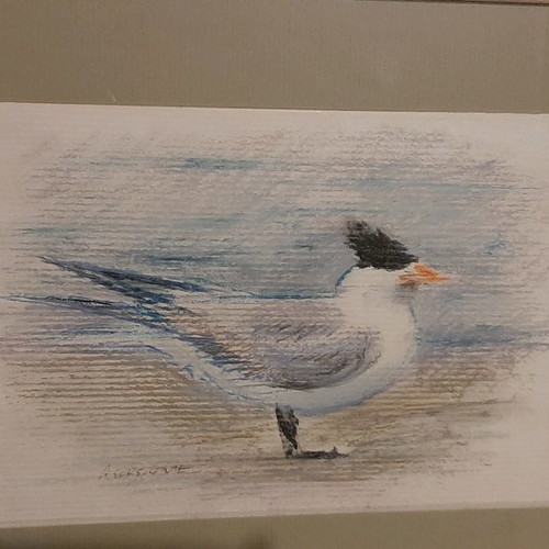 Bird paintings set of 2 new with wooden frames