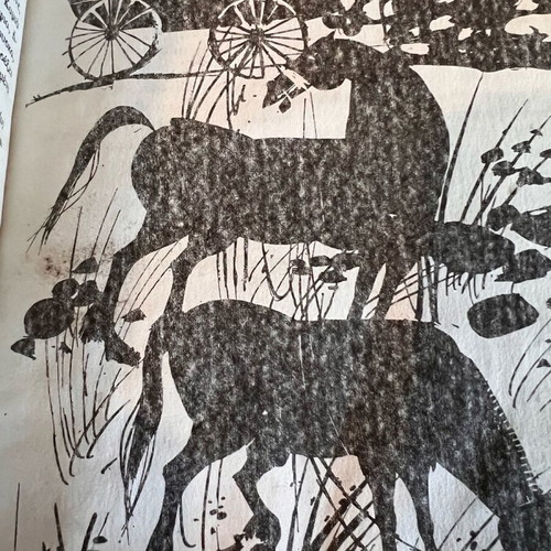 Steppa Anton Chekhov Used Hardcover Edition