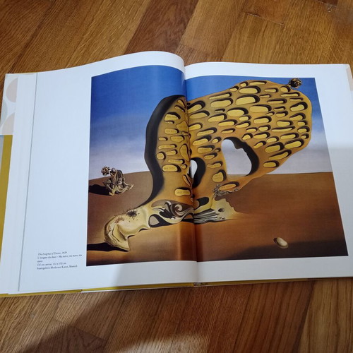 Salvador Dali 25th Anniversary Edition Taschen art book like new