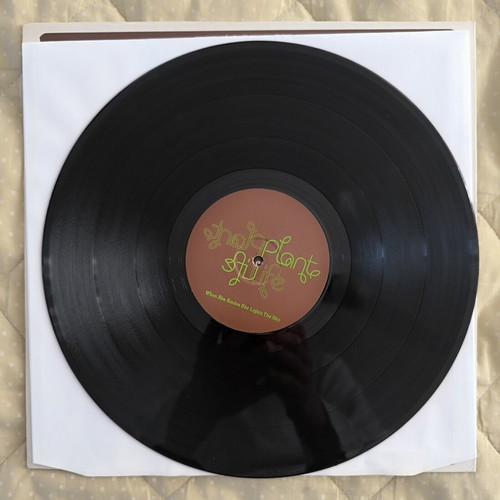 Plant Life Featuring Dena Deadly When She Smiles She Lights The Sky 12" vinyl like new, electronic