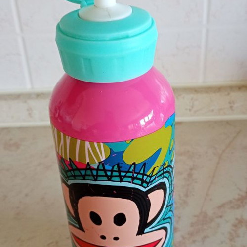 Paul Frank insulated bottle used with signs of wear