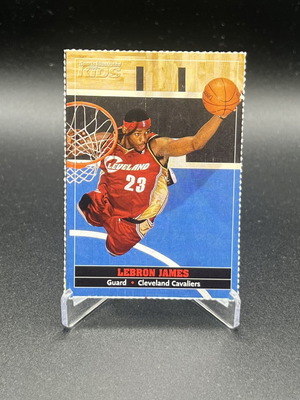 2004-05 Sports Illustrated LeBron James Handcut Card