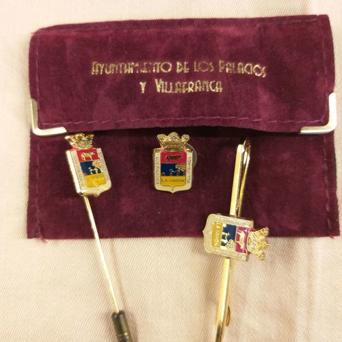 Set of pins and tie clip from Spanish Andalusia municipality