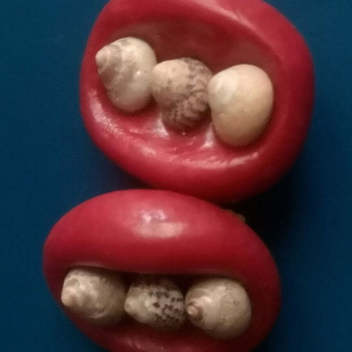 Vintage handmade polymer clay earrings used, red with shells