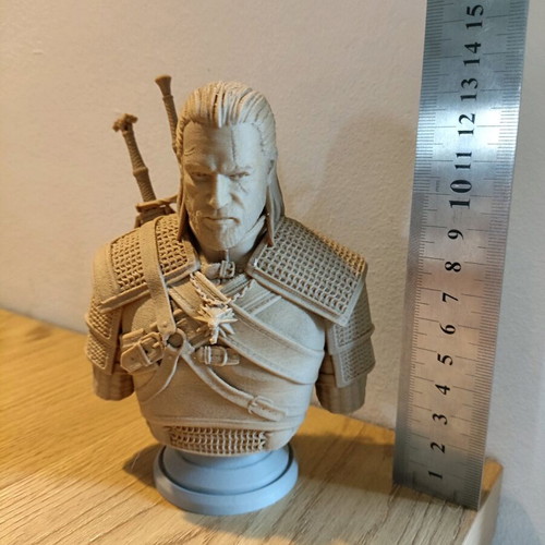 Geralt of Rivia 3d Printed Bust New