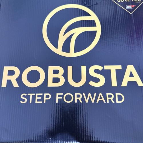 Robusta GoReTex boots size 42 new, black