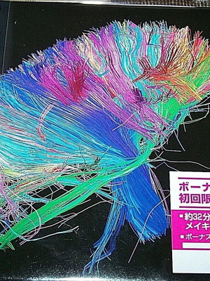 Muse The 2nd Law Japanese Edition Special Limited Edition CD+DVD Brand New