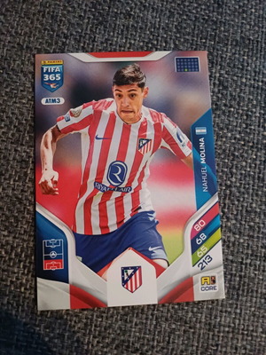 Molina-Atletico Football Card New