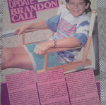 Baywatch Brandon Call αφίσα pinup, 27,5x20,2 εκ.