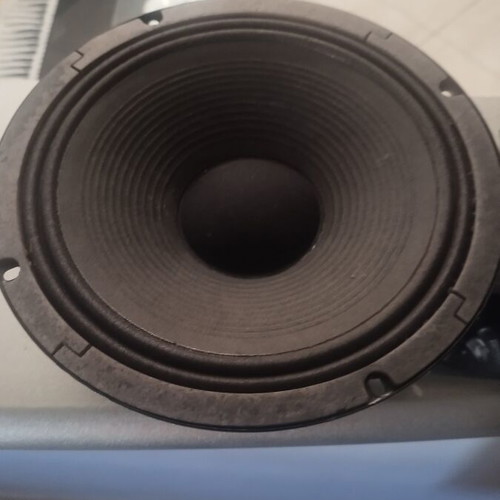 Leem 10" speakers used, pack of 2, 50W 8Ω for guitar amps