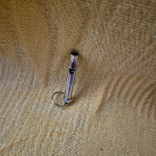 Dog whistle for calling new