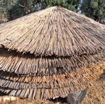 Straw beach umbrellas, 2 meters diameter, single canopy
