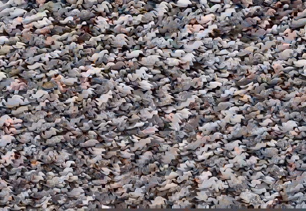 ΒΟΤΣΑΛΟ ΠΟΤΑΜΙΣΙΟ 1,5cm - 3cm