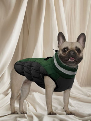 Winter dog jacket size L new, green