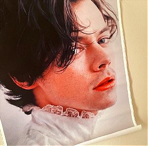 Harry Styles canvas poster