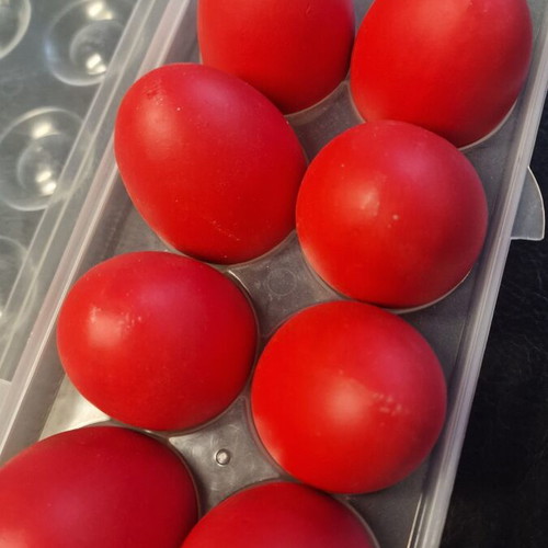 Decorative eggs set of 8 in case red