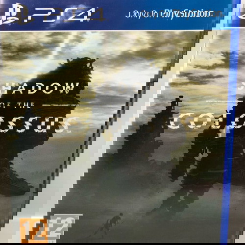 Shadow of The Colossus PlayStation 4 used