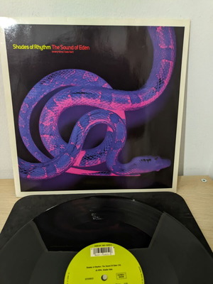 Shades Of Rhythm The Sound Of Eden 12" vinyl record used, electronic